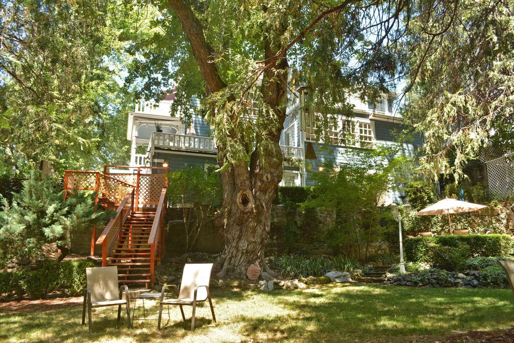 Deer Creek Inn Nevada City Exteriér fotografie